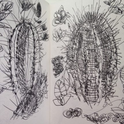 Cacti drawing